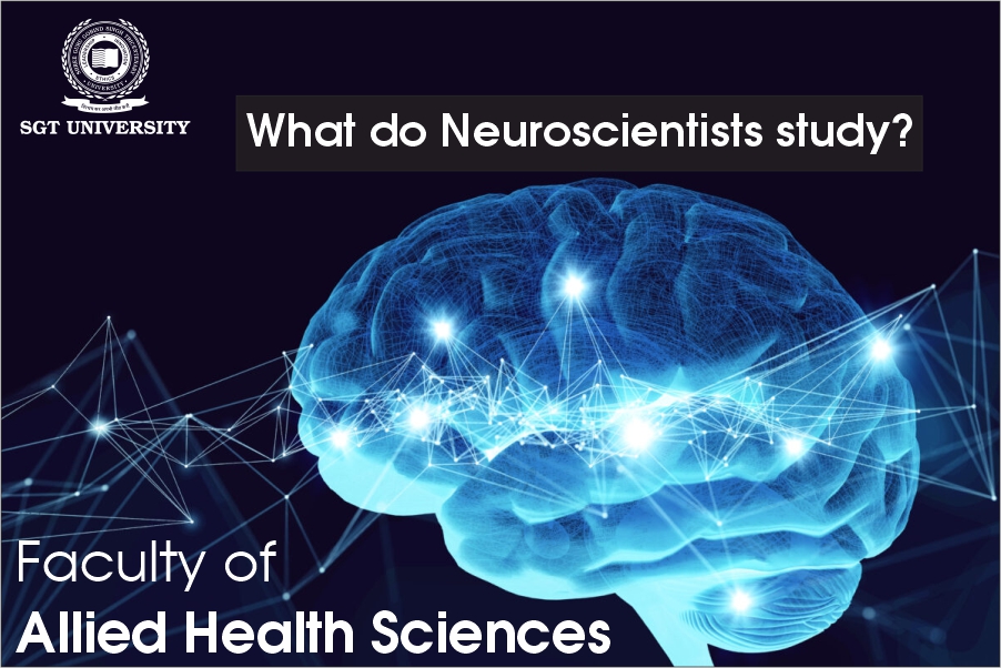 What do Neuroscientists study?