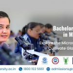 What is BSc Microbiology and Why Should You Study It? Course, Colleges, Fees, Eligibility, Syllabus